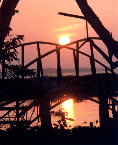 sunset2
